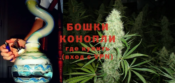 сатива Липки