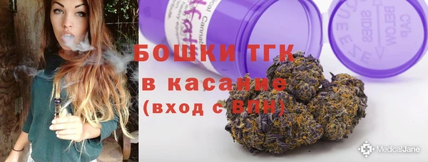 сатива Липки