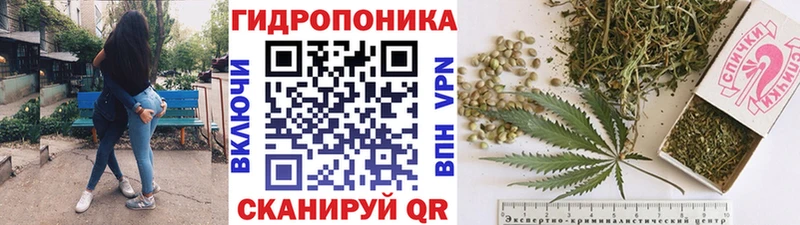 Купить закладки  Мглин  Марихуана VHQ 